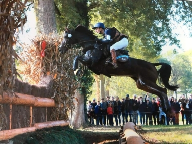 Beaune d' Epte- Finaliste 7ans Mondial Lion ICC 139