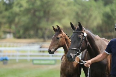 Pearl Jam du Fleuve SF