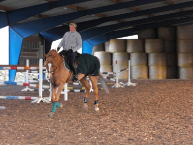 CALYPSO CHEVAL DE LILIANE